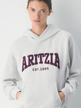 Aritzia Cozy Sweatfleece Perfect Hoodie XS